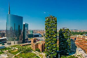 Vertical forrest