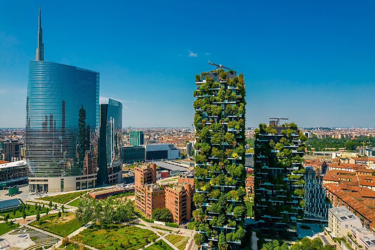 Vertical forrest