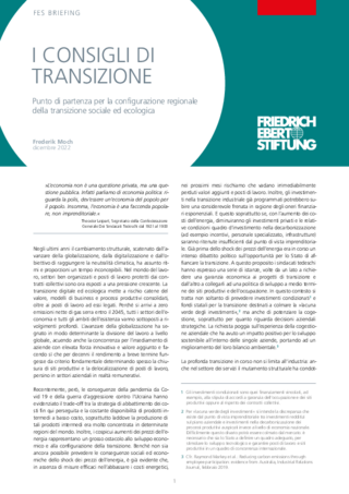 I consigli di transizione